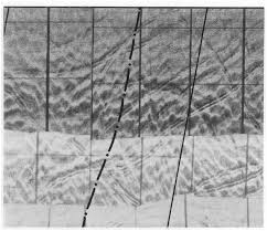 The Potential Environmental Impact of Marine Gravel Extraction in the North  Sea
