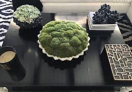 Khloe Kardashian S Moss Bowl Moss Decor Moss Centerpieces Zara Home Plant Pot