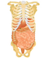 Pin On Health And Nutrition
