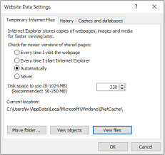 How To Fix The Request Header Or Cookie Too Large Issue In 2020 Header Fix It Internet Options