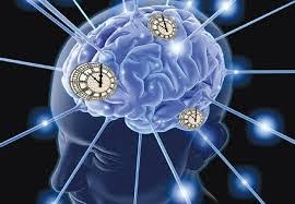 Νόσος Parkinson: Αίτια, συμπτώματα & αντιμετώπιση | Doctoranytime Blog