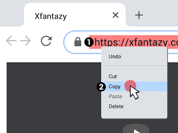 How to Download Xfantazy Videos