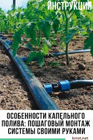как сделать капельный полив в теплице из пластиковых бутылок Instrukciya Kak Organizovat Kapelnyj Poliv Kapelnoe Oroshenie Organicheskoe Sadovodstvo I Sadovye Idei