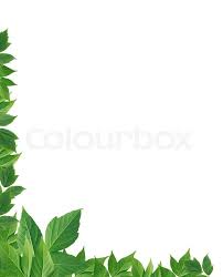 Find vectors of leaf border. Nature Concept Nice Border Made From Stock Image Colourbox