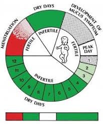 cycle graphic family planning creighton model fertility