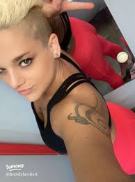 Exploring the Artistry of SCALOP: A Deep Dive