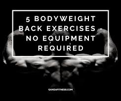 5 bodyweight back exercises no