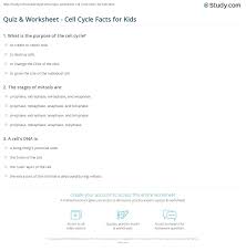Comments and help with gizmos student exploration cell energy cycle answer key. Quiz Worksheet Cell Cycle Facts For Kids Study Com