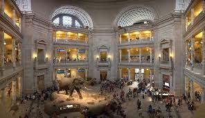 Smithsonian Institution National Museum Of Natural History Washington Dc National Museum Canada Travel History Google