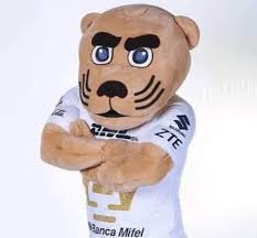 Ha sido un patron por encargo que su dueña por fin ha recibido, he de decir que quien me lo encargo ha tenido una paciencia enorme conmigo, solo espero que le haya merecido la pena tanta espera por el y que le haya gustado mucho. Goya Pumas Unam Carlos Bello Otero Facebook