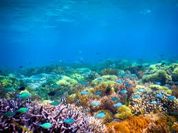 Kumpulan gambar dan foto pemandangan indah dengan kualitas hd 10 Gili Dengan Pemandangan Bawah Laut Yang Memukau Gili Snorkeling 4608x3456 Download Hd Wallpaper Wallpapertip