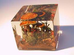 Mushroom Preserved In Resin Electronics Crafts Another Green World Resin Crafts