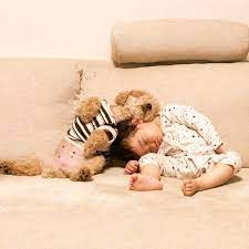 ゆずちゃんとトイプードルのこっちゃんは 一緒に寝るのが大好き 犬 赤ちゃん トイプードル トイプードル かわいい