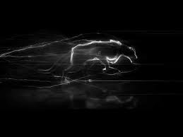 Running Tiger Intro Download Youtube Youtube Banner Design Logo Design Video Youtube Design