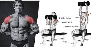 Initiate movement by bringing elbows out to sides. Build Massive Shoulders With The Arnold Press Shoulder Workout Rounded Shoulder Exercises Arnold Schwarzenegger Body