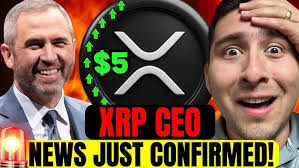 SHIBA INU HOLDERS (IT'S OFFICIAL NOW) SHIBA INU PUMP?!