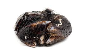 Esse hanno un sapore deciso ed intenso, capace di insaporire primi piatti, sia di pasta che di riso, sia in abbinamento con altri frutti di mare e pesce, sia come unico ingrediente, protagonista ad esempio, della classica pepata.non è estate se non si mangiano le cozze e in alcuni regioni, come la campania, questi frutti. Cozze Proprieta E Come Si Cucinano Ricetta It