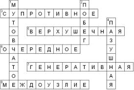 пятый класс составить кроссворд по биологии 5 класс с вопросами и ответами Krossvord Pobeg I Pochki