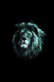 All of the wildlife wallpapers bellow have a minimum hd resolution (or 1920x1080 for the tech guys) and are easily downloadable by clicking the image and saving it. Amoled Animal Wallpaper Wildlife Wallpaper Wildlife Animal Wallpaper