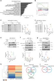 Sekretaris desa bertindak sebagai koordinator, kaur (kepala urusan) bertindak sebagai unsur staf yang menjalankan kesekretariatan, dan kasi. Mutant P53 Induces Golgi Tubulo Vesiculation Driving A Prometastatic Secretome Nature Communications