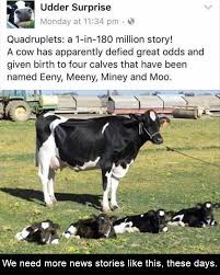 Afternoon Funny Meme Dump 34 Pics Cute Animals Cute Baby Animals Cute Funny Animals