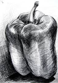Bell Pepper Charcoal Note The Different Directions Of The Marks And Lines To Suggest 3 D Form And The Build Natural Form Art Charcoal Art Still Life Drawing