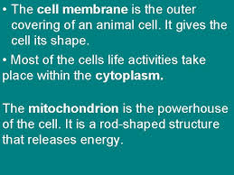 Maybe you would like to learn more about one of these? Cell Structures Functions And Transport Figure 7 5