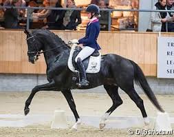 Edward gal & glock's total us cdi sentower park 2021 ‏‎ clipmyhorse.tv nederland ‎‏ في ‏‎ clipmyhorse.tv nederland ‎‏ في ‏‎ Total U S Sold To Austria