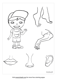 You can use our amazing online tool to color and edit the following body parts coloring pages for preschool. One Body Many Parts Coloring Pages Free Human Body Coloring Pages Kidadl