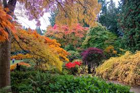 See photos of fall foliage color changes across Pacific Northwest