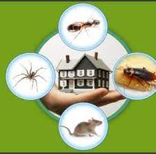 12a, jalan industri usj 1/8, taman perindustrian usj 1, 47600. Sham Pest Control Home Facebook
