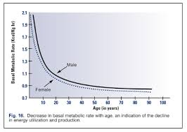 how to determine your basal metabolic rate bmr