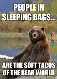 Animal Memes Soft Tacos Of The Bear World Funny Pictures Humor Camping Memes