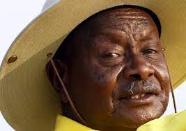 Yoweri museveni has been in power since 1986image caption: After Mugabe All Eyes Are On Museveni How Long Can He Cling To Power