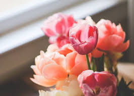 We're committed to your satisfaction! 10 Ridiculously Cheap Valentine S Day Plans For The Broke And Lazy