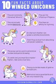 10 Fun Facts About Winged Unicorns What Is A Unicorn Unicorn Life Fun Facts