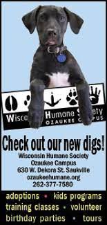 Wihumane Org Wisconsin Humane Society Brings Adoptable Pets Looking For Forever Homes And Educated Us On Compassi Humane Society Society Programming For Kids