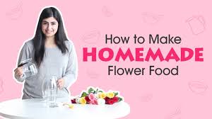 You may never know what results come from your action. Easy Tips To Make Homemade Flower Food Floweraura Youtube
