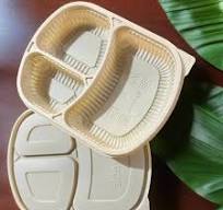 3 Compartment Corn Starch Take Away Containers|Sturdy|Eco Friendly |Biodegradable | Picnic|Microwavable|Disposable
