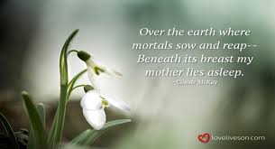 Motherly love is irreplaceable, which makes losing her to death an incredibly painful experience. 27 Best Funeral Poems For Mom Love Lives On