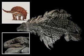 We did not find results for: Enormous 18 Foot Dinosaur Mummy That Weighs 1 4 Tons Is Best Preserved Dino On Earth And Dates Back 100million Years