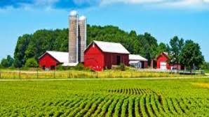 Bugün çocuk videosunda rüya'nın çiftliği'ni kuruyoruz arkadaşlar. Ruyada Ciftlik Gormek Ne Demek