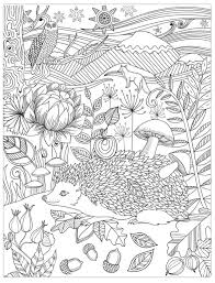 Hedgehog Coloring Page Hedgehog Colors Animal Coloring Pages Pattern Coloring Pages