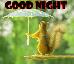 Your good morning and good night messages will make her believe you are thinking of her. Latest 100 Good Night Text Messages Wishes Quotes For Him Her Good Night Messages Quotes