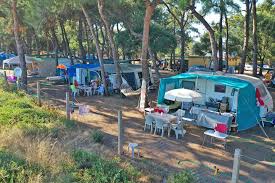 Doğa ile iç içe bir tatilin tadını doğanın keşfedilmemiş köşelerinde çıkarmak mümkün. Doga Ile Ic Ice Tatil Icin Karavan Tercih Edenlerin Sayisi Artiyor Ntv