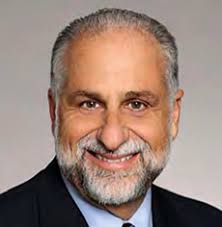 Highlighting ICD USA Section Fellows in Action