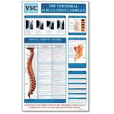 Vertebral Subluxation Complex Poster Vsc Clinical Charts