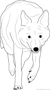 See more ideas about coyote drawing, disney coloring pages, disney drawings. Coyote Coming Towards You Coloring Page For Kids Free Coyote Printable Coloring Pages Online For Kids Coloringpages101 Com Coloring Pages For Kids