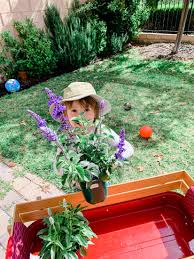 So, you've been reading more and more about how nice it is to have a small vegetable garden, but you don't know where to start. How To Start An At Home Garden M Loves M
