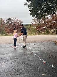 Profile for Mark Casteel LLC Christmas Lights